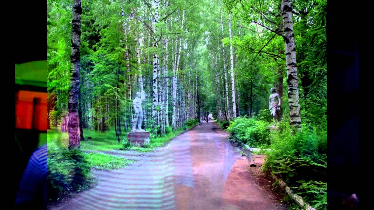 Дискотека КАПИТАН - Вичуга