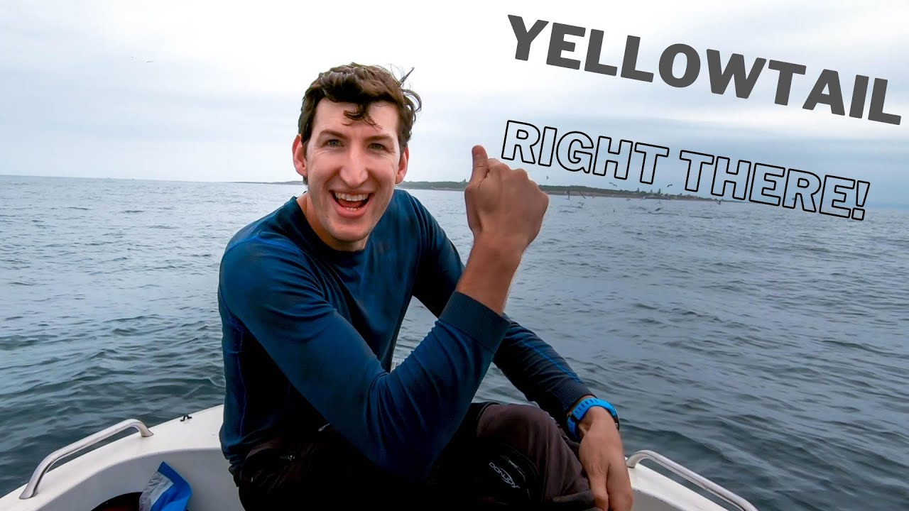 Spearfishing Yellowtail - Catch and Cook (Part 1 of 3) Ep18