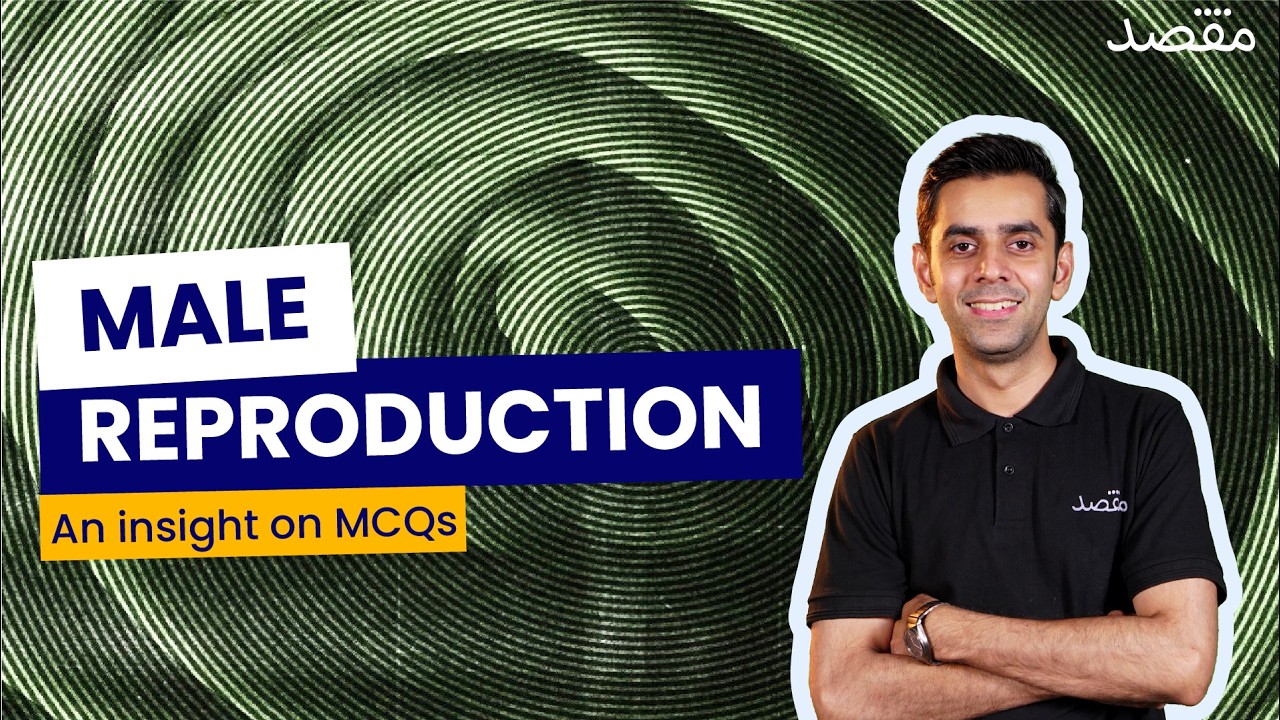 Male Reproduction System MCQs | MDCAT Biology