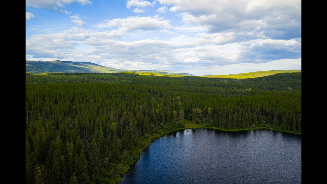 Chinook Community Forest