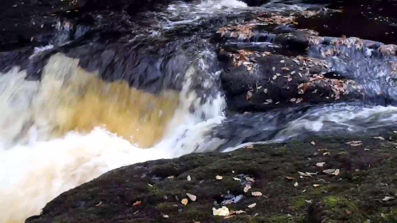 Determination - Atlantic Salmon jumping water fall (Nov 2014)