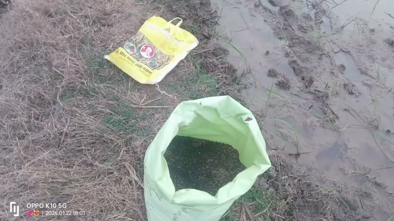 దా లు వ చేనుకు అనుకోకుండా మందు వేస్తున్నాను 