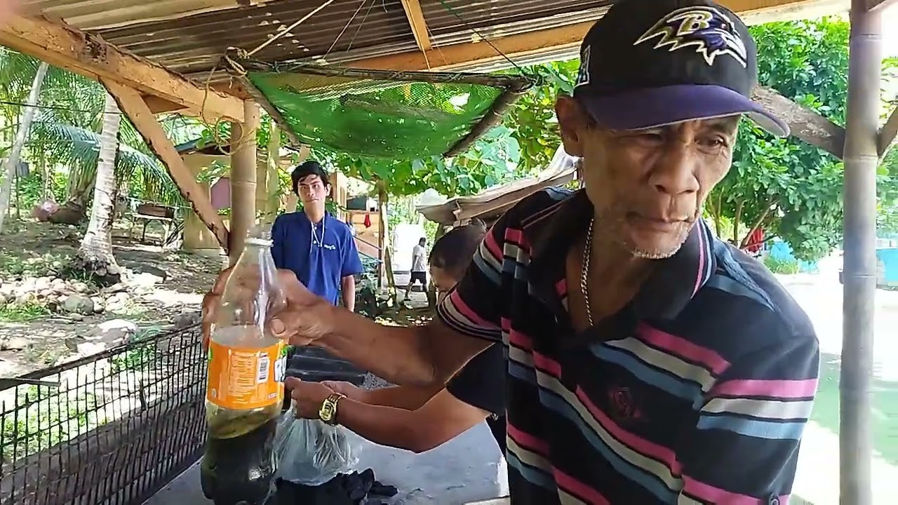 Taga Bukidnon in Napo Beach Dapitan City (EP1) Kinilaw Na Bolinao at Inihaw Na Baboy