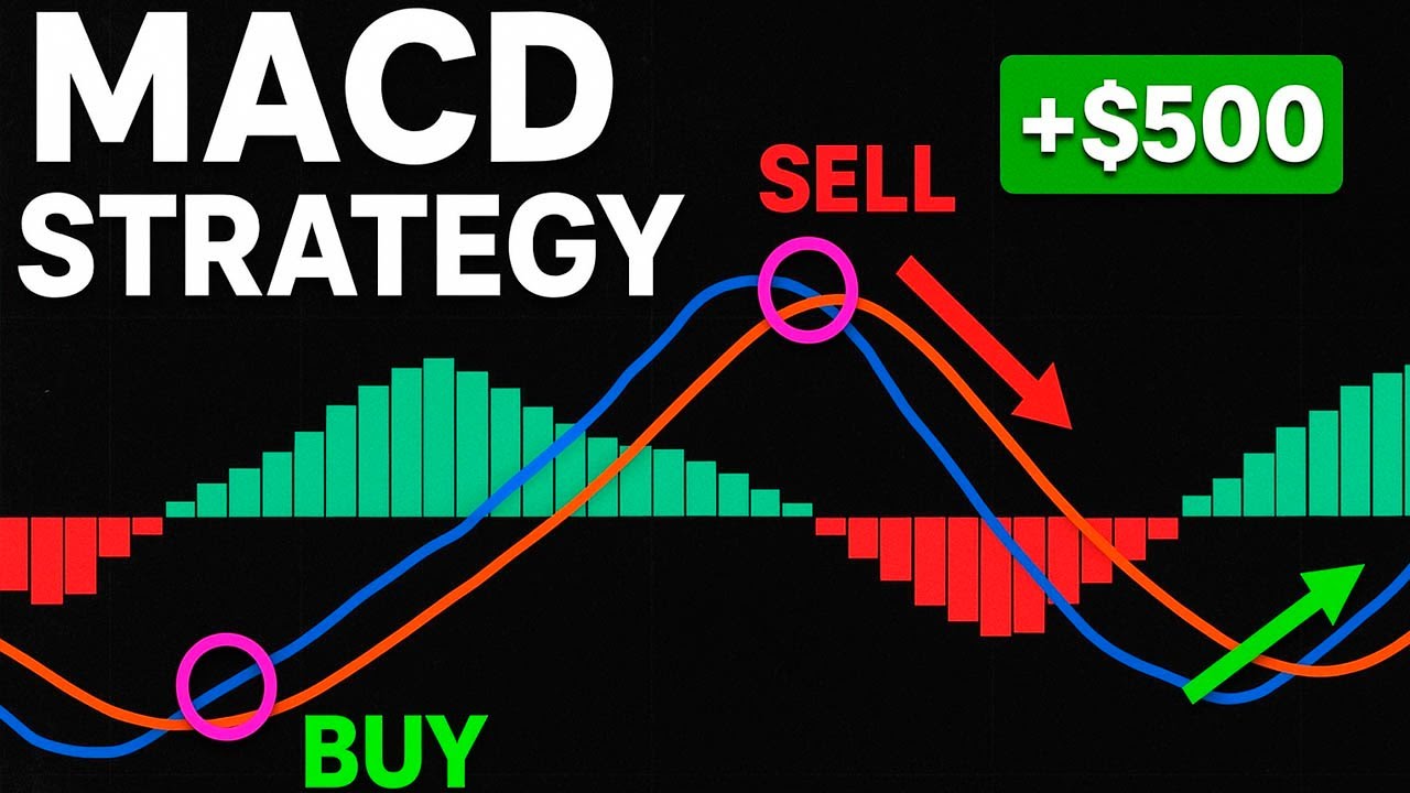 MACD TRADING STRATEGY | MACD INDICATOR