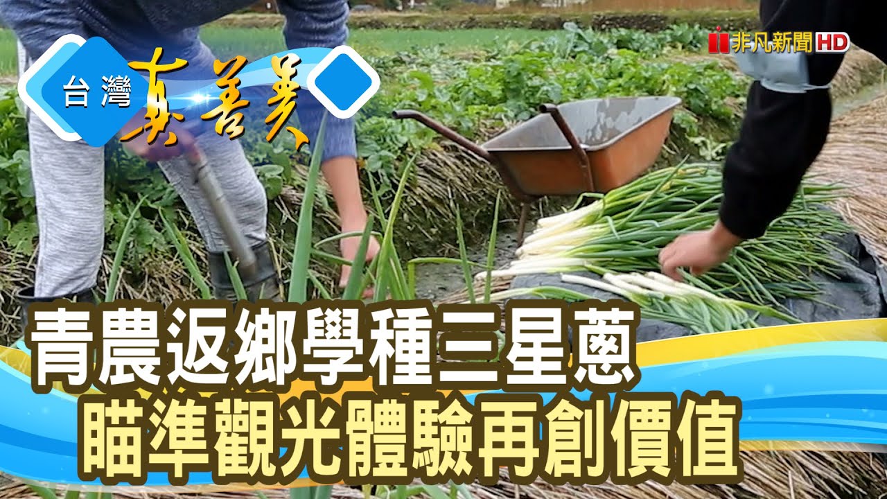 &ldquo;三星蔥田&rdquo;瘋觀光體驗｜初咪體驗農場｜【台灣真善美】2023.03.19