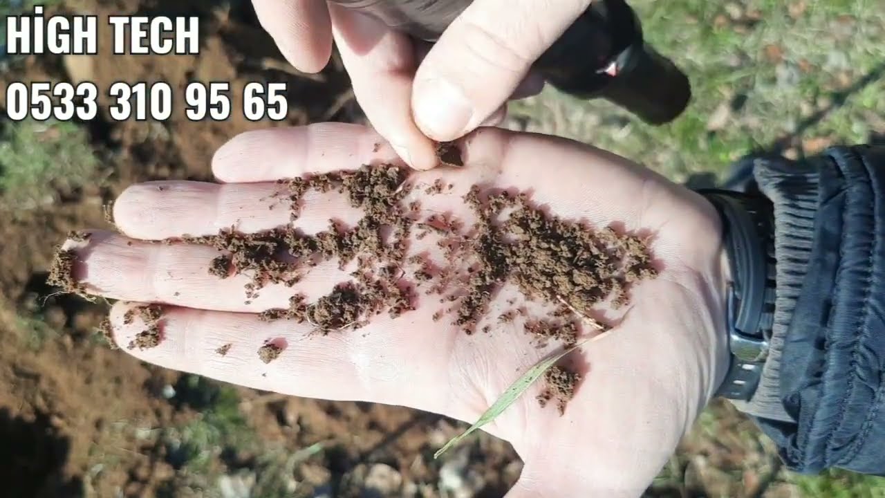rutus alter 71 g&uuml;nl&uuml;kleri