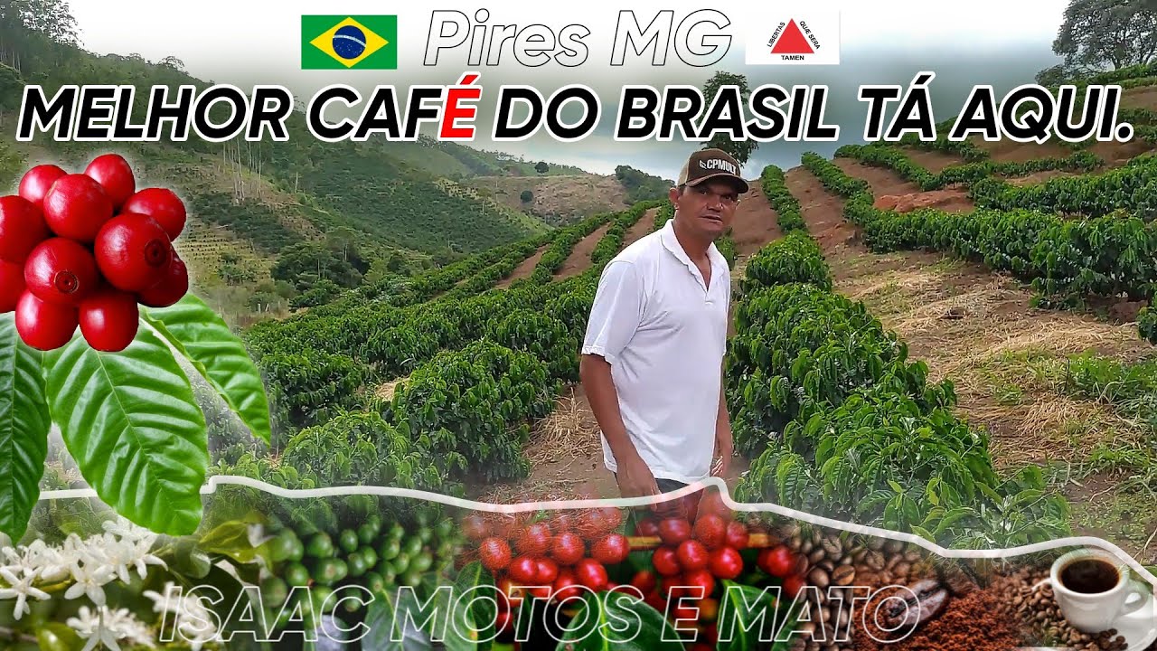 MELHOR CAFÉ DE MINAS (pires) CATUAÍ 144 VERMELHO.
