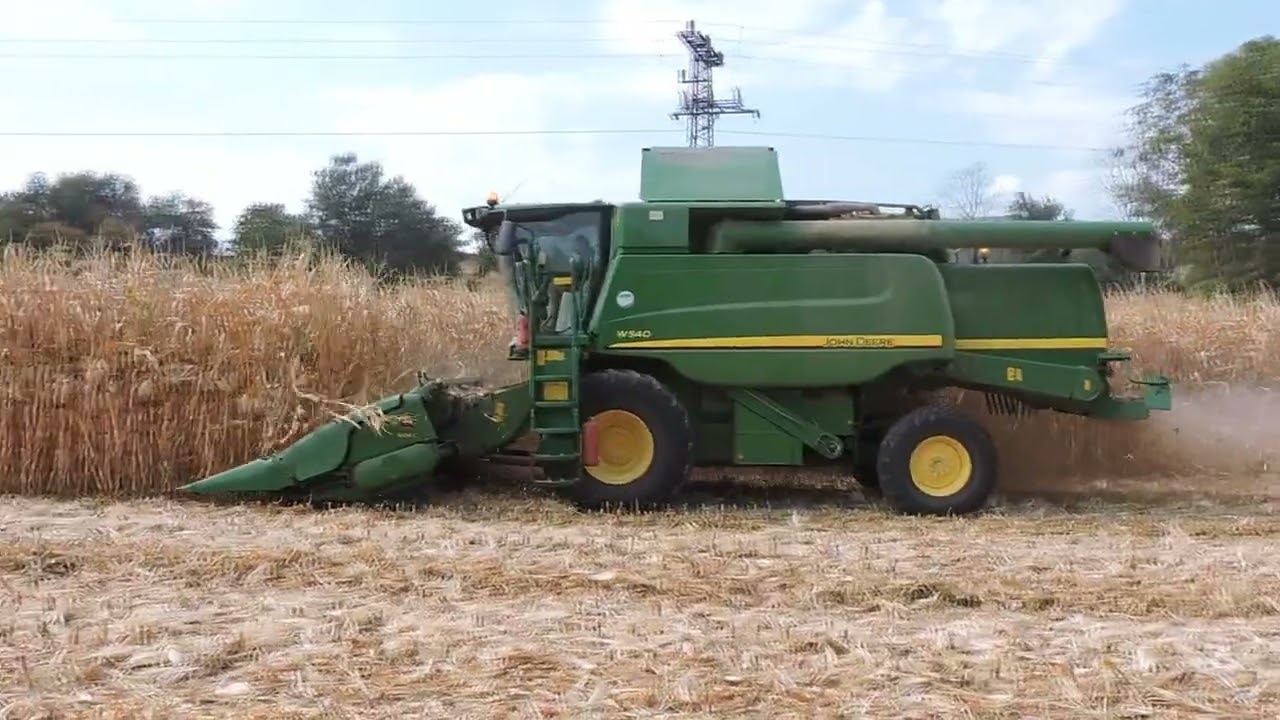 Kukorica aratás 2024 John Deere W540+606C
