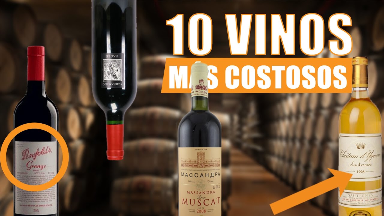 10 BOTELLAS de VINO Que Valen más Que Tu AUTO