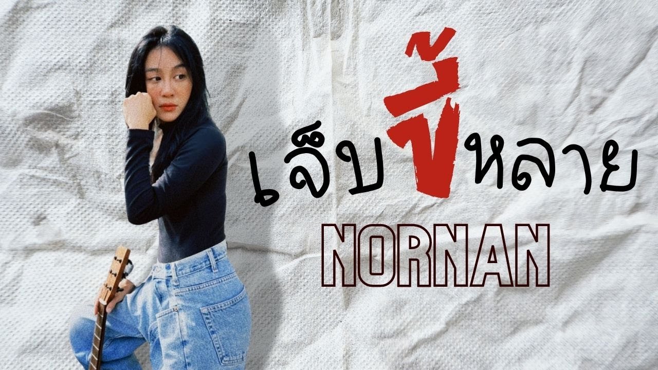 เจ็บขี้หลาย Official Audio (NORNAN)