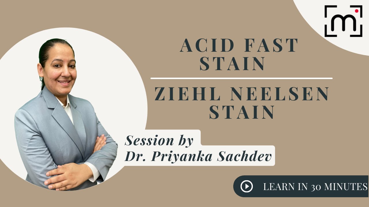 Acid Fast Stain | Ziehl Neelsen Stain | MBBS 2nd Year, NEET PG, NEXT by Dr. Priyanka Sachdev