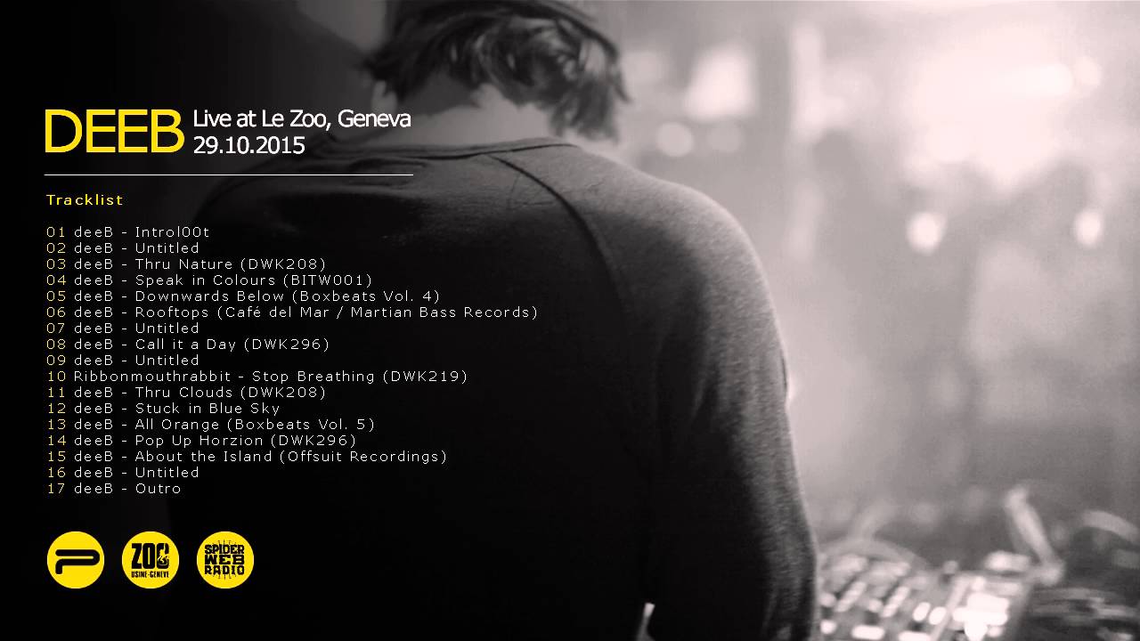 deeB - Live at Le Zoo, Geneve 29.10.2015 (Triphop mix)