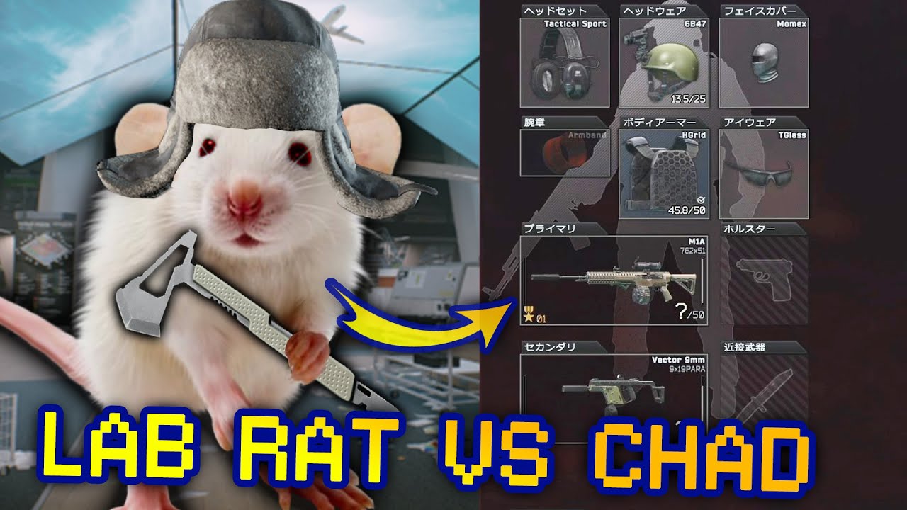 LAB RAT vs JUICED USEC — Rats vs Chads in Tarkov #6
