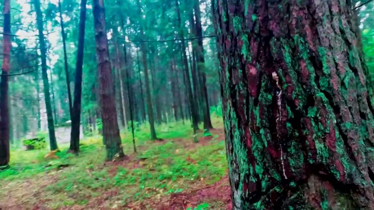Airsoft bygailiai 2024 09 15
