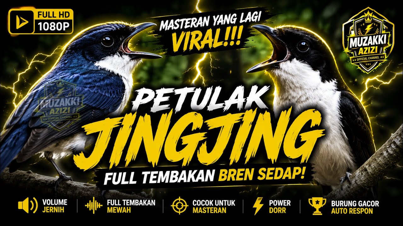MASTERAN YANG LAGI VIRAL!! PETULAK JINGJING FULL TEMBAKAN MEWAH || PETULAK JINGJING GACOR DOR