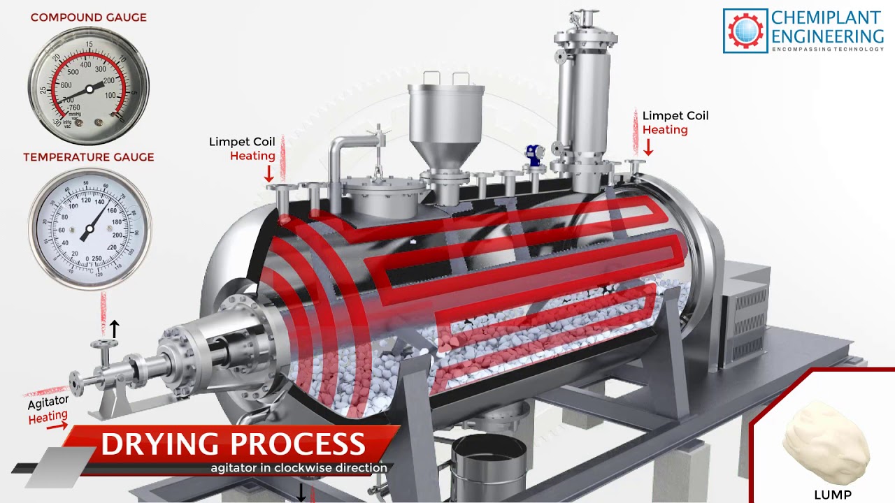 ROTARY VACUUM PADDLE DRYER