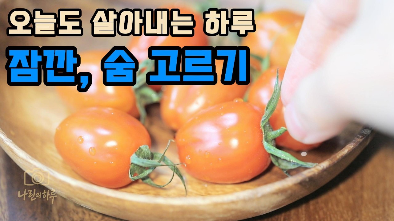 조용히 나를 돌보던 하루 | 숨 고르기
