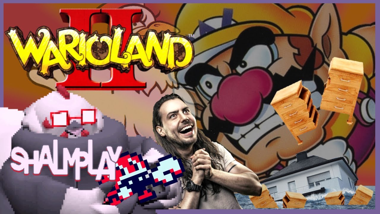 Biggest Water Bill in the Mushroom Kingdom [wario land II moments]