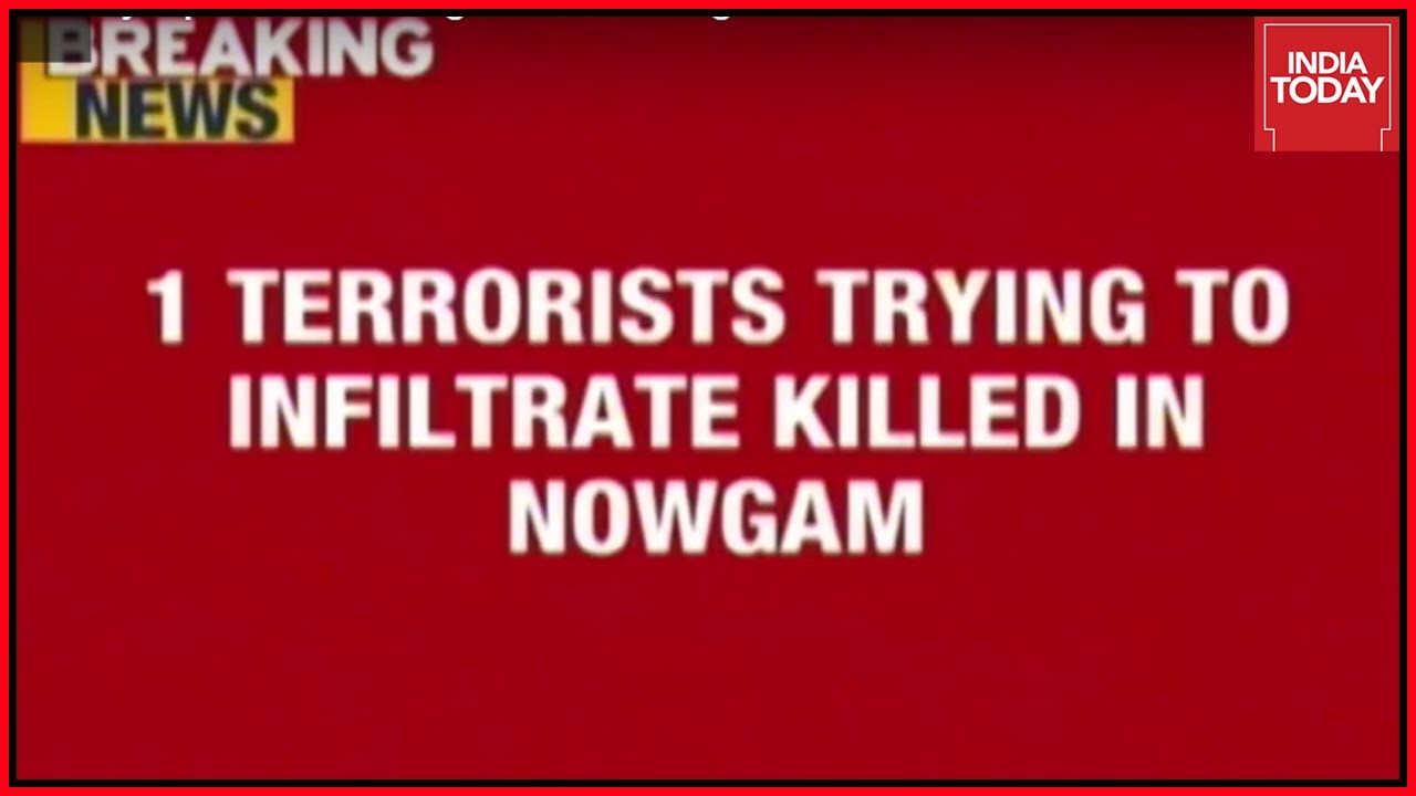 Terrorist Killed In Army Operation Along LoC At Nowgam
