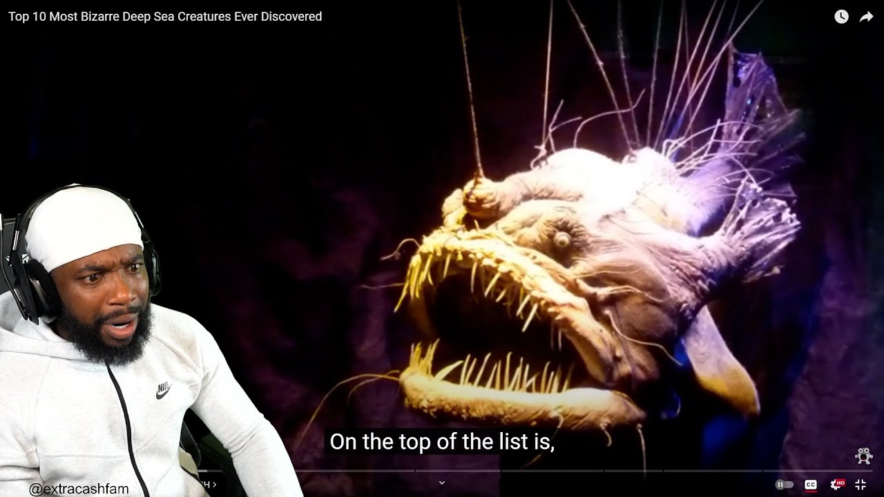 THIS IS WHY IM SCARED OF THE OCEANS! Top 10 Most Bizarre Deep Sea Creatures Ever Discovered