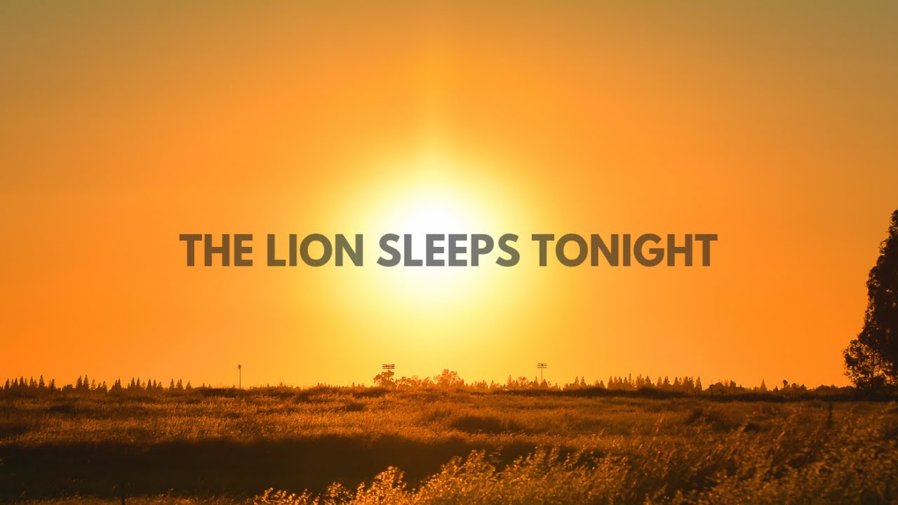 The Lion Sleeps Tonight - Elin Hellstr&ouml;m (feat. INTIM)