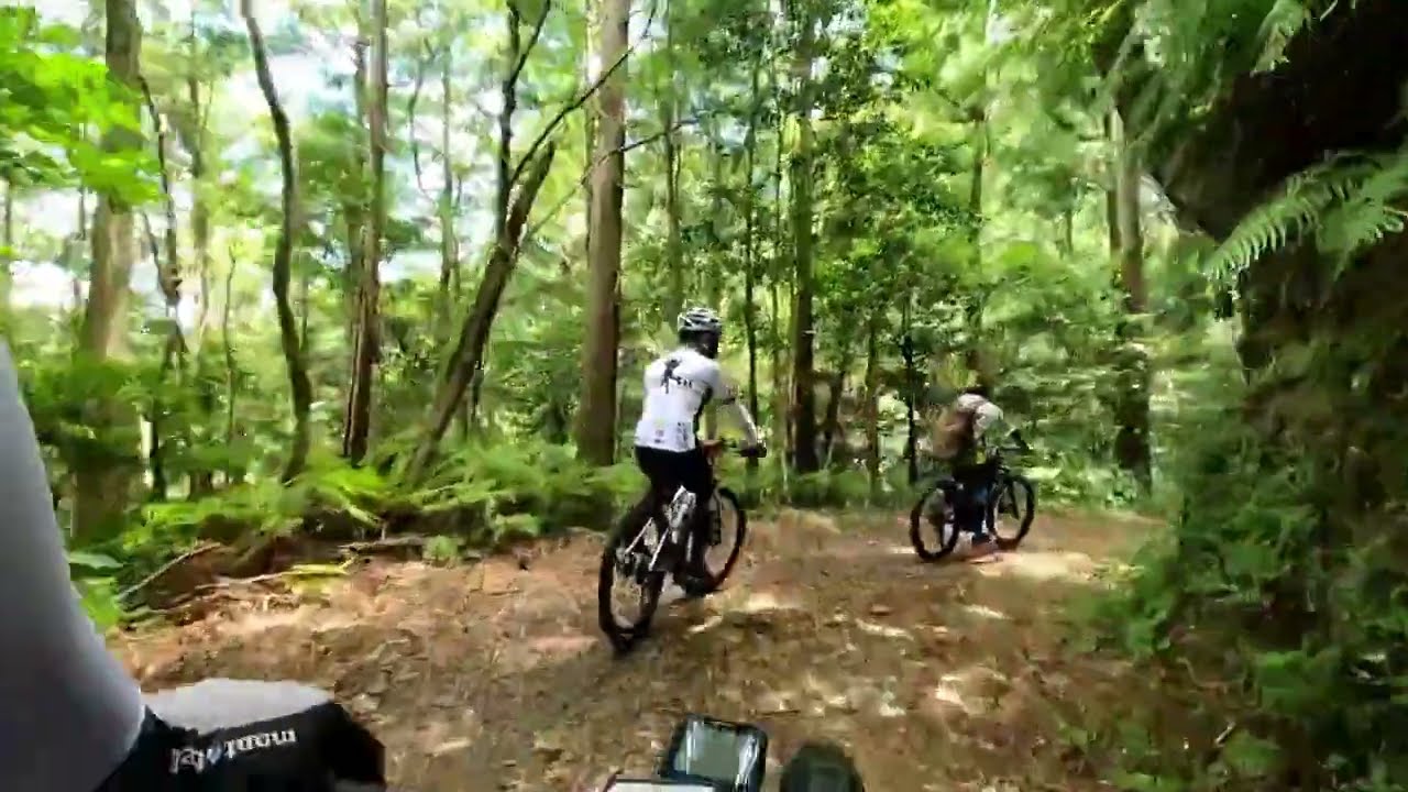 Cycling on forest roads in Shirakidani, Nankoku City, Kochi, Japan.