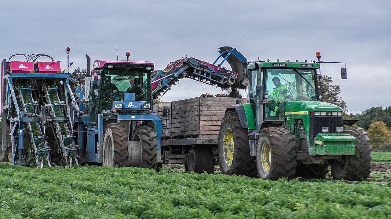 🔥Zbiór Marchwi w Ciężkich warunkach!✮Tuje Export?!✮Steyr Bokiem! ✓ Asa-Lift 2x Steyr & JD ✓