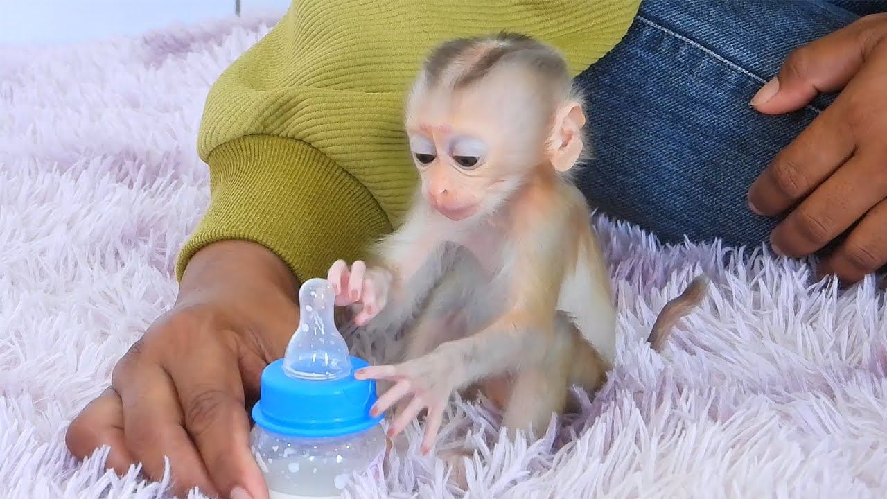 Tiny Valen Full Power And Energy After Milk