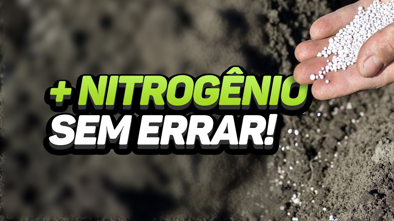 COMO FORNECER NITROGÊNIO EM MAIOR CONCENTRAÇÃO SEM CAUSAR PERDAS OU FITOTOXICIDADE
