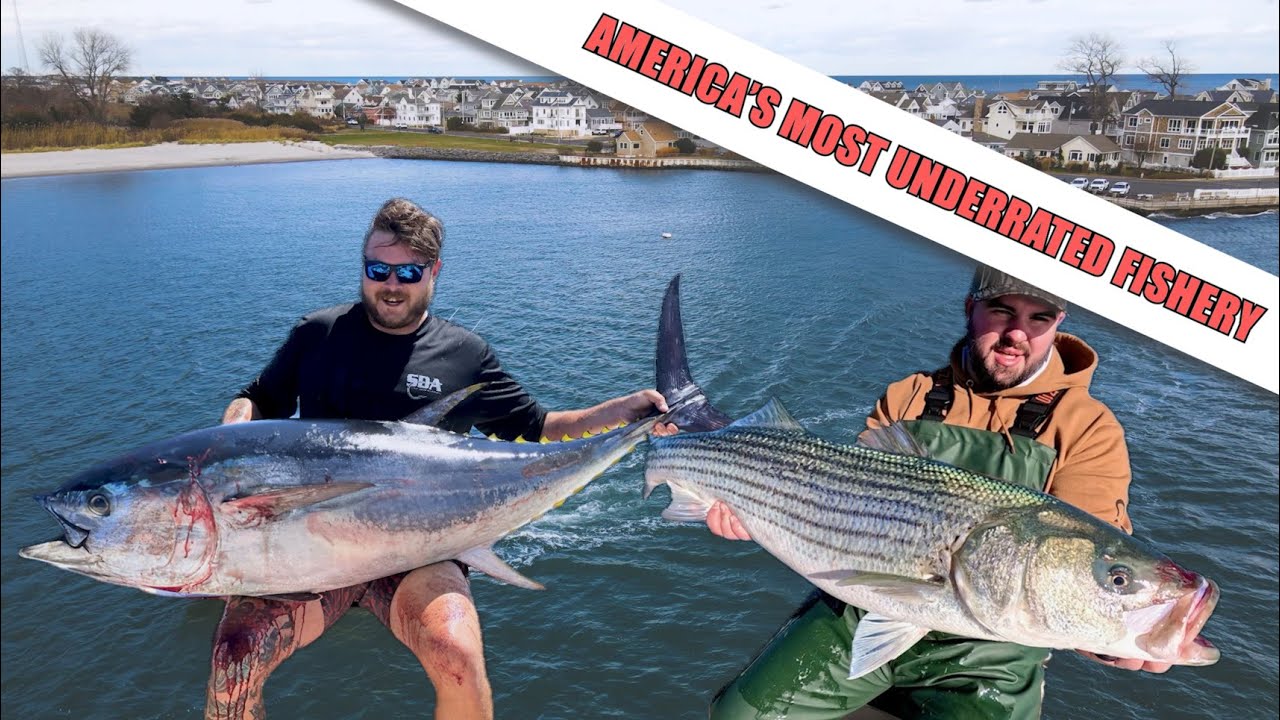 America's Most Underrated Fishery: Chasing Striper and Bluefin Tuna