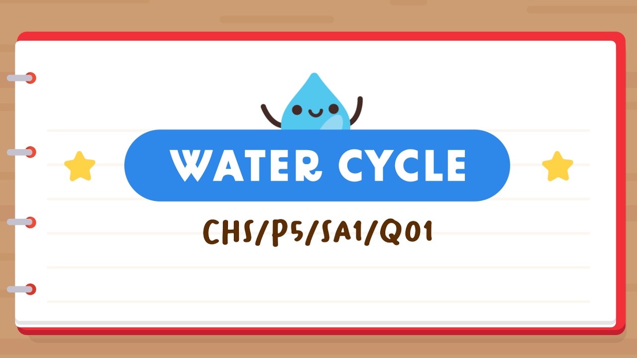 PSLE SCIENCE MADE SIMPLE EP253 | Water Cycle | Which Statement About The Diagram Is True? 🔁