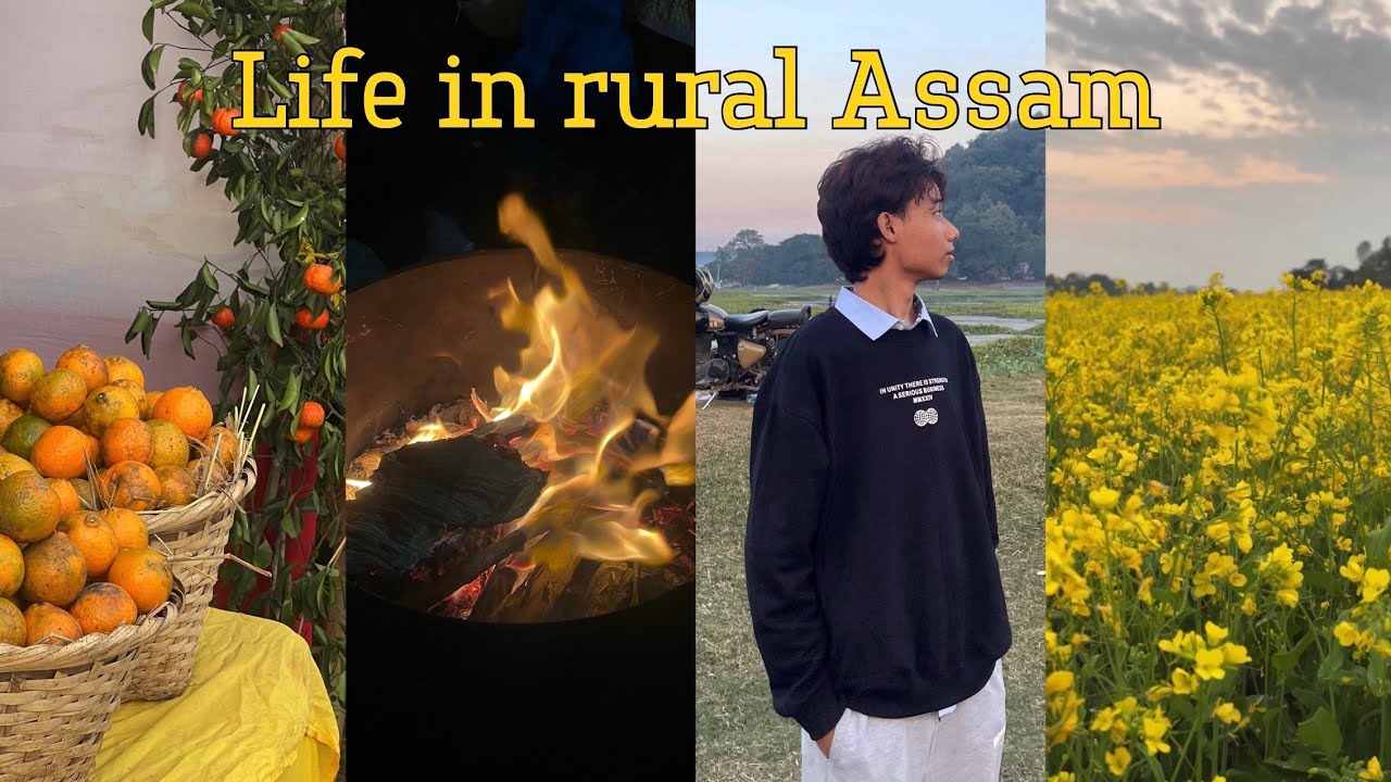 My slow days in rural Assam | a vlog by Beekey 