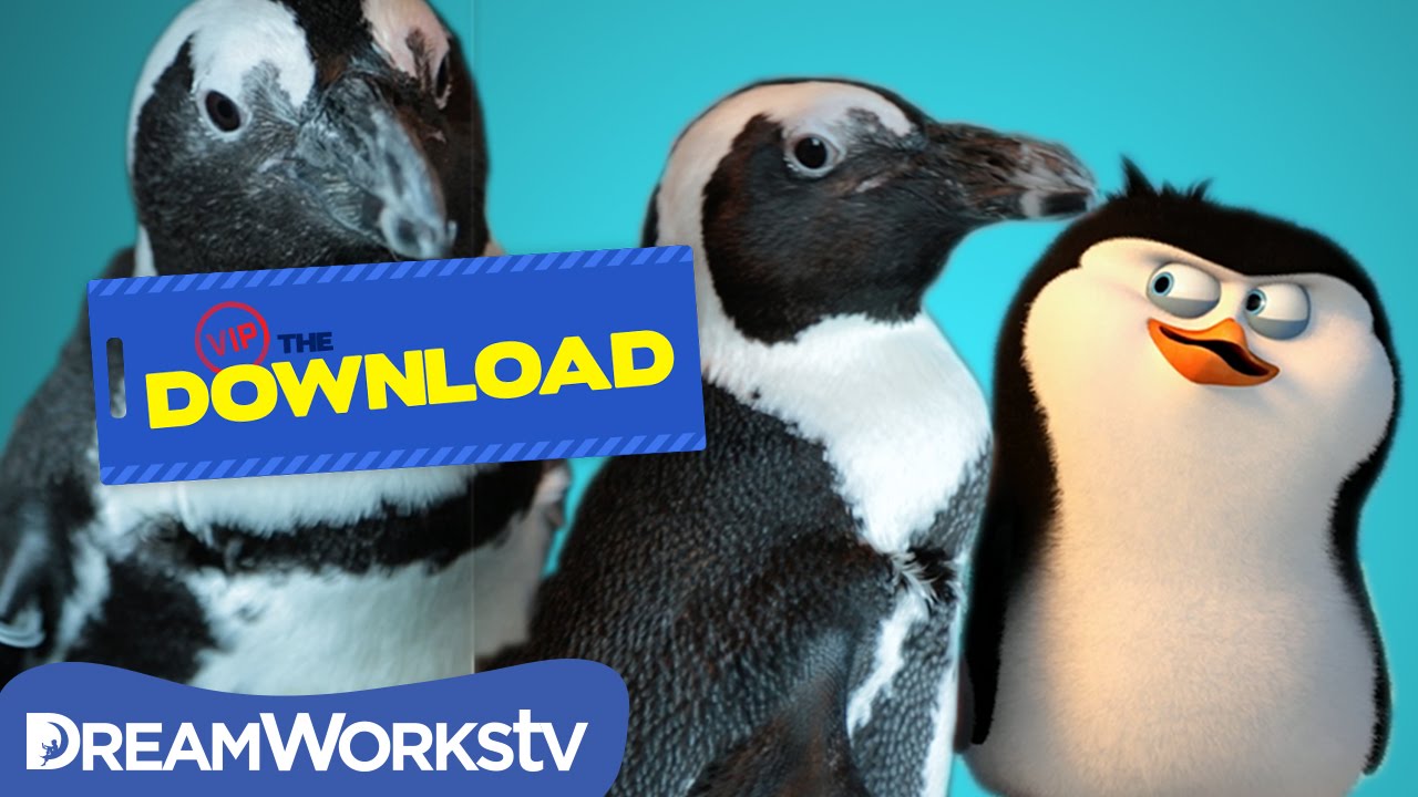 Teen Penguins React to Penguins of Madagascar | THE DREAMWORKS DOWNLOAD