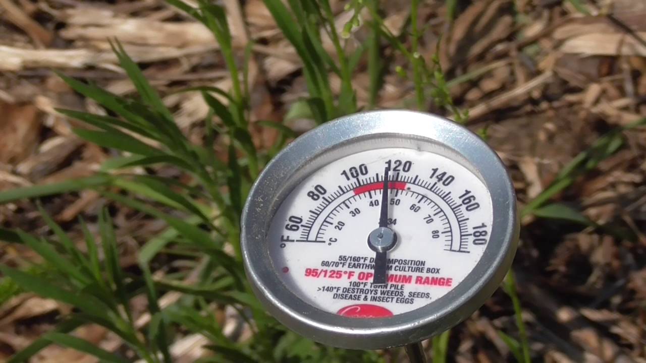 How to lower your soil temperatures from 120F to 80F!! with Matt Powers