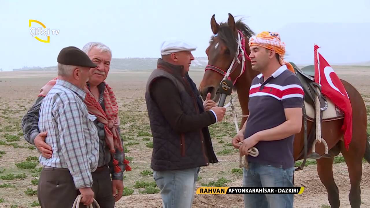 Rahvan/Rahvan Atlarının Yarış Antrenmanı