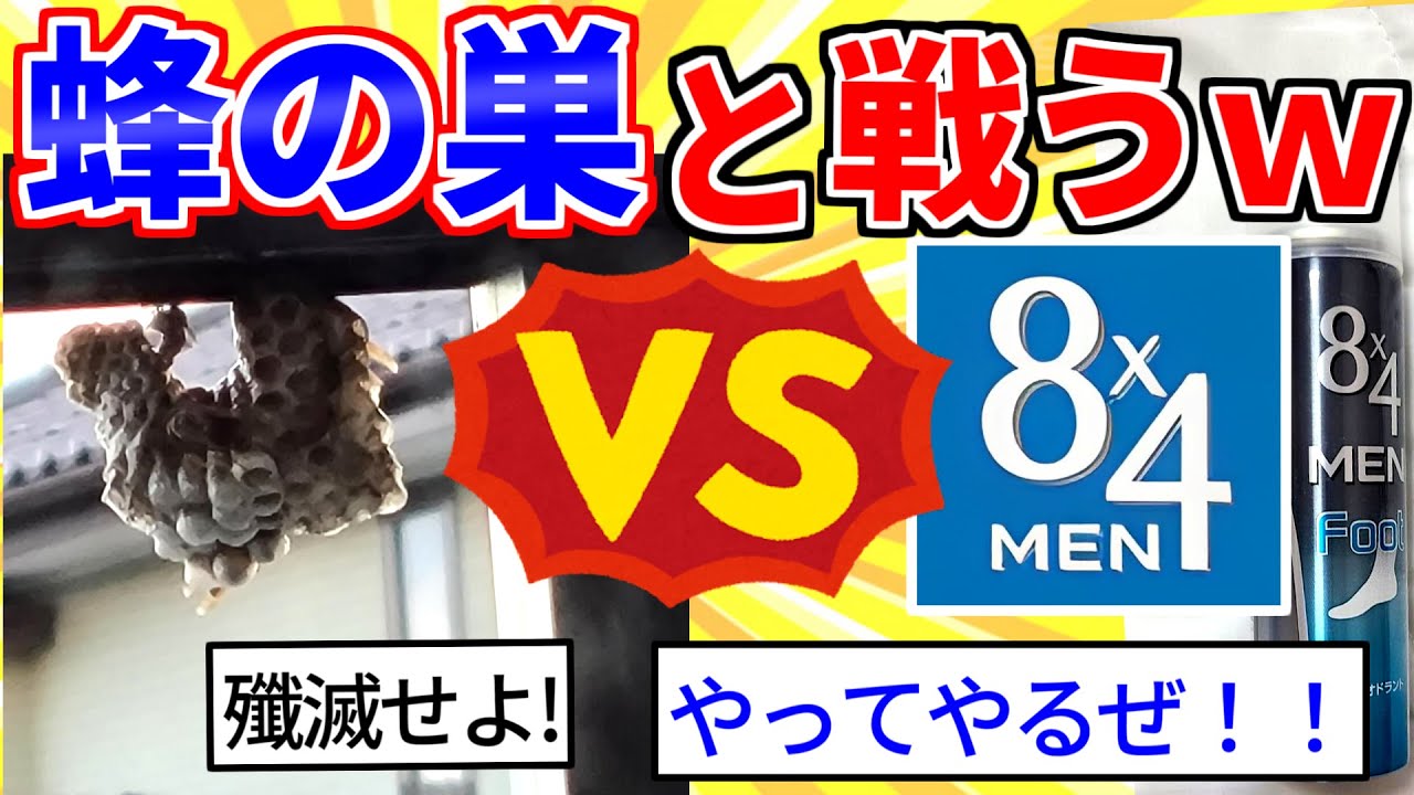 【2ch面白いスレ】ベランダに蜂の巣あるから駆除するｗｗｗ【ゆっくり解説】