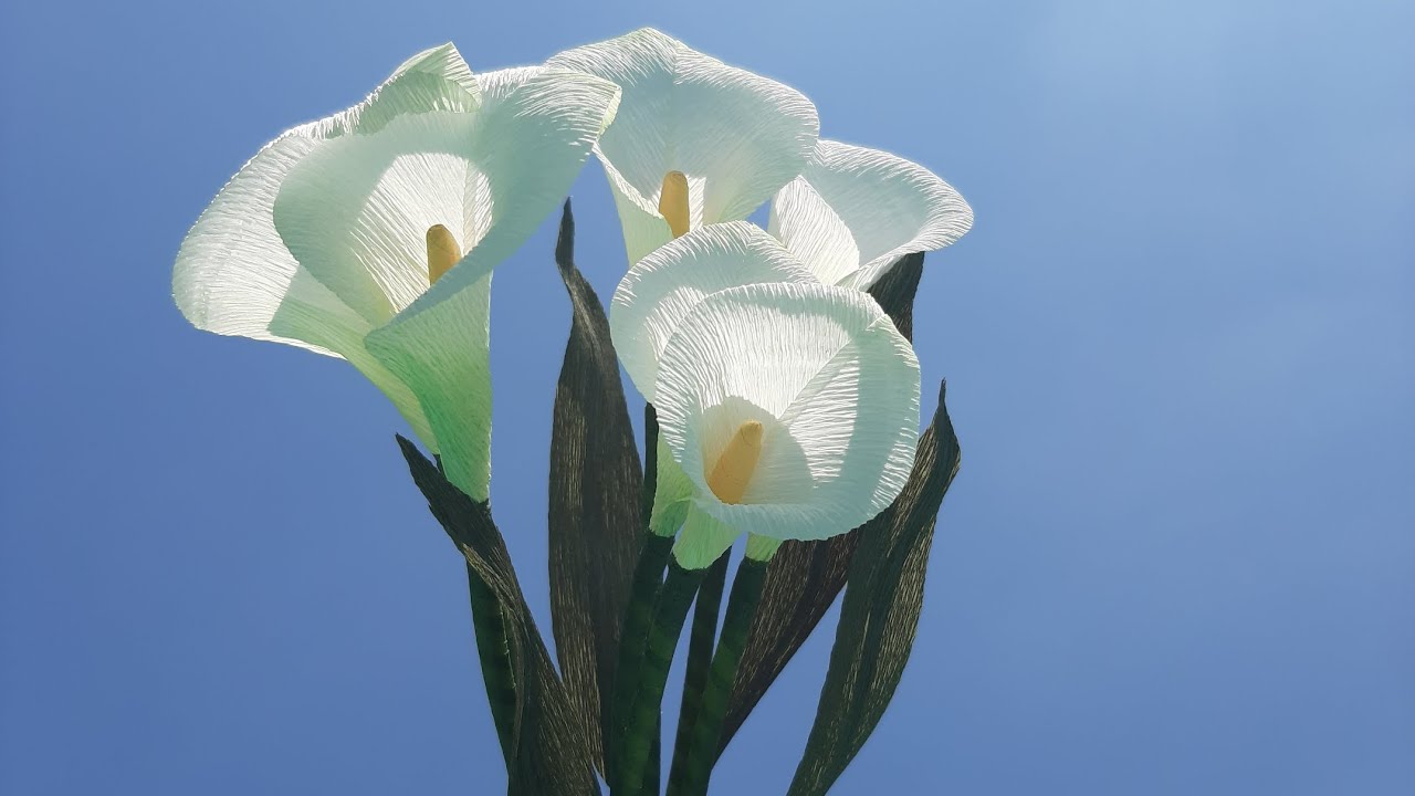 카라만들기 | How to make Calla with crepe paper