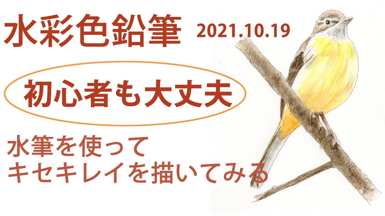 【水彩色鉛筆】講習用レッスン動画、手順を考えて描きます