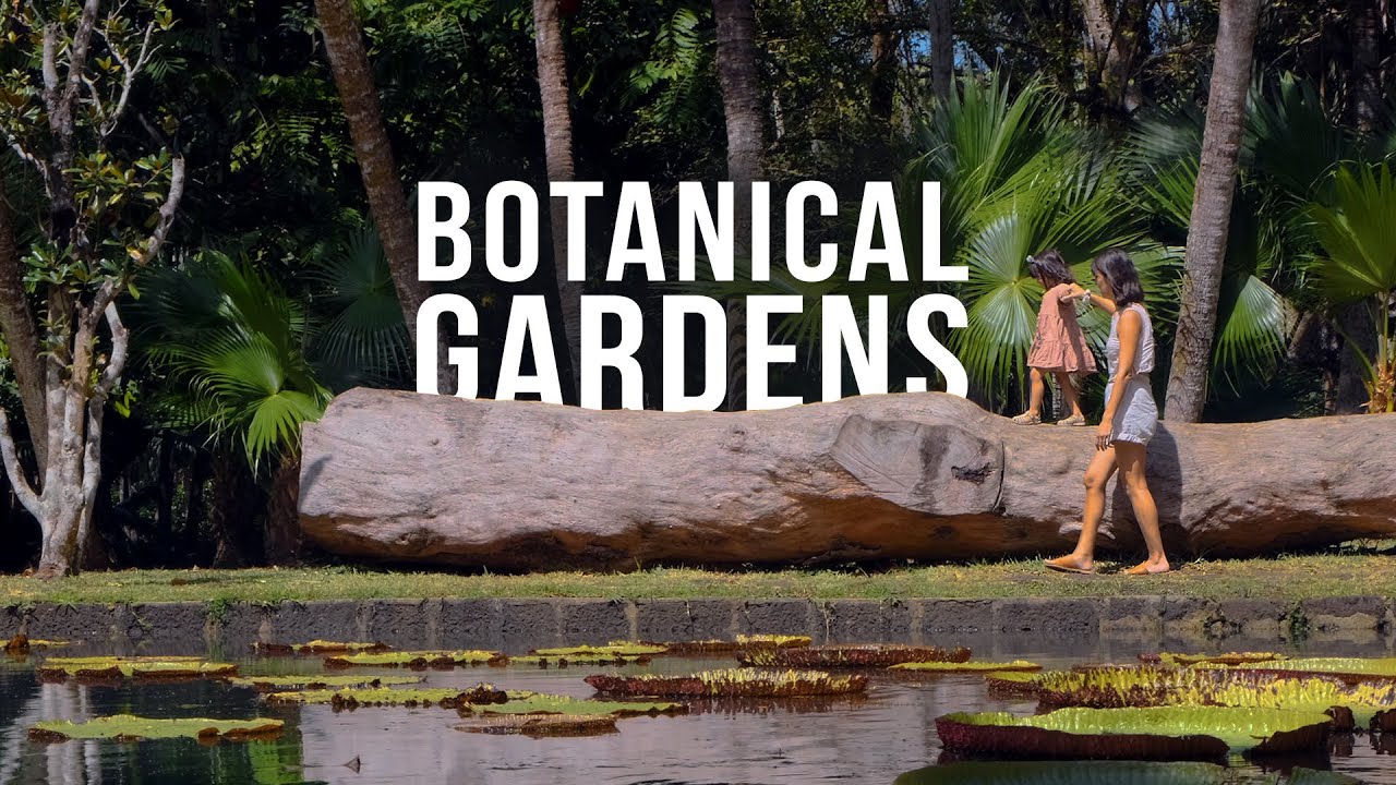 EXPLORING MAURITIUS BOTANICAL GARDENS | VLOG 12