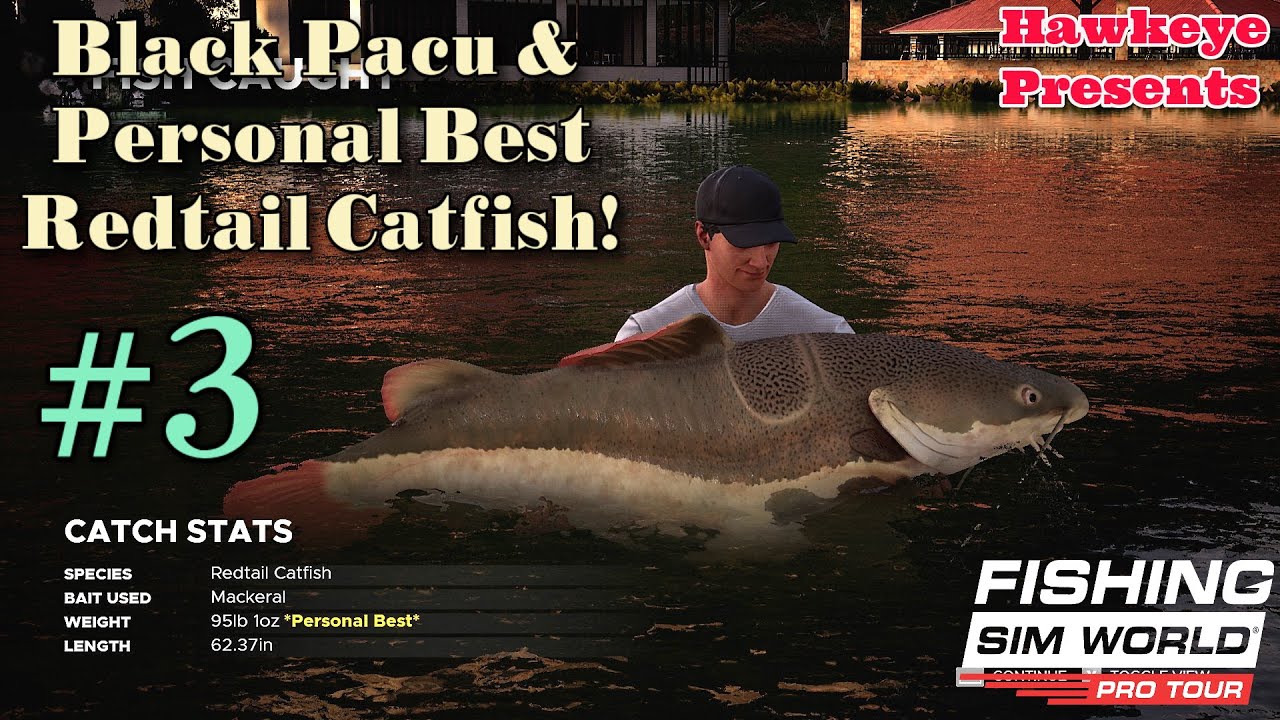 Fishing Sim World Pro Tour - 2022: Black Pacu & Personal Best Redtail Catfish!