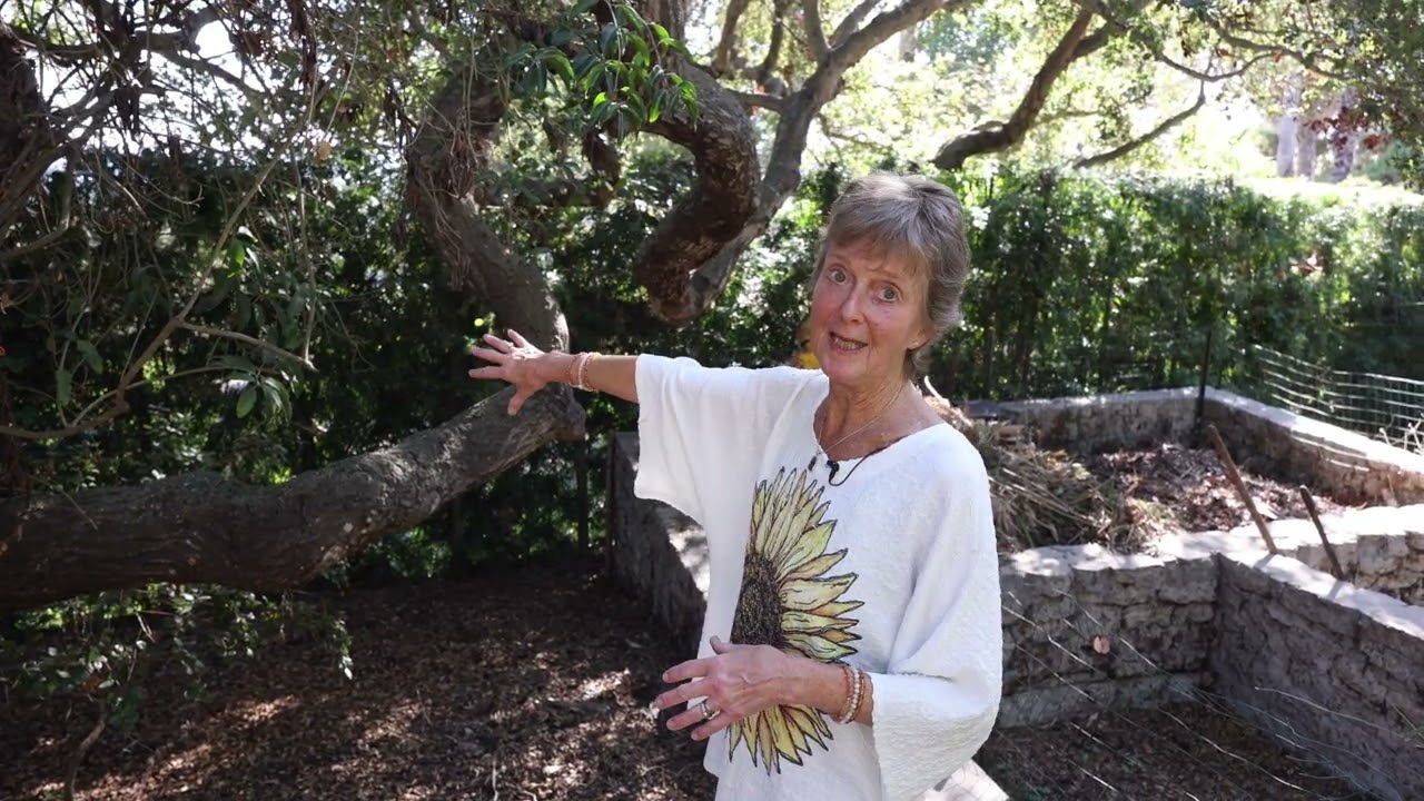 Sunday Soulful Stories: Meeting the Fairy Queen | Inspired by the Spirit of Findhorn