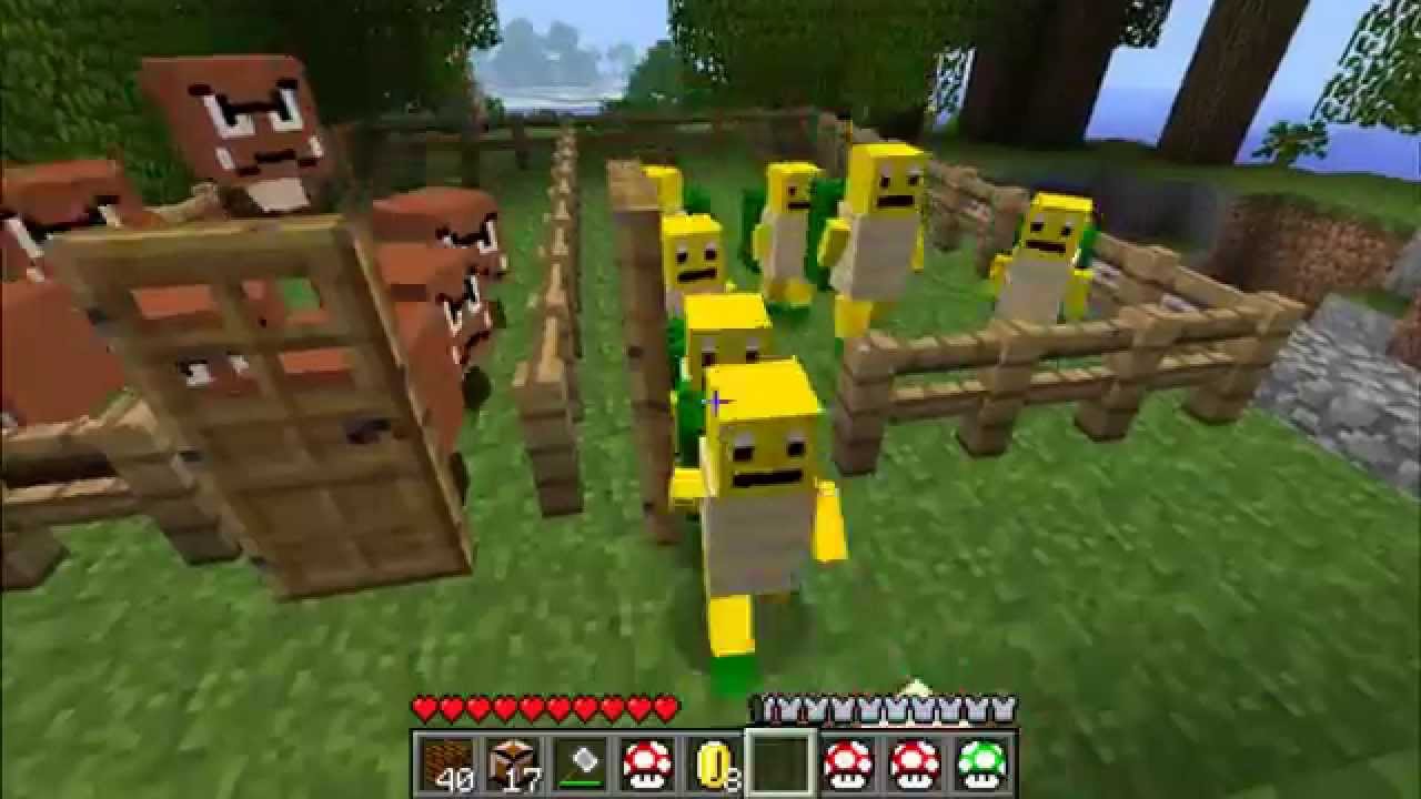 Minecraft: Super Mario Mod