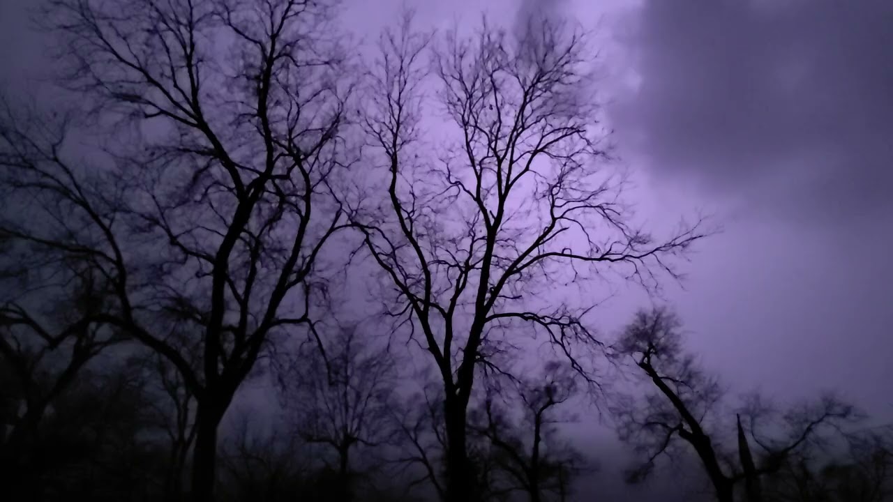The Grandioso Great Plains Thunder Storm of the 10th day, 3rd month of the year of our lord 2026 1/2