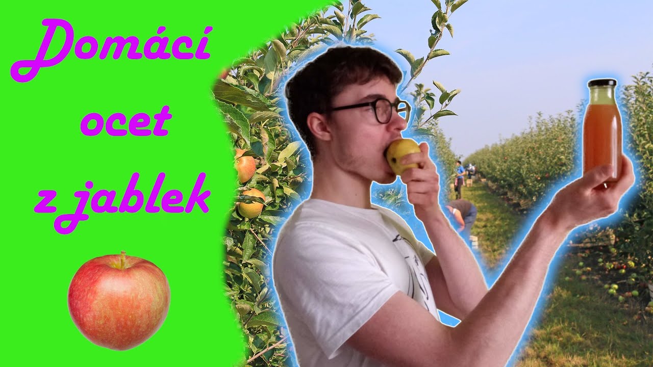 Jak na DOMÁCÍ JABLEČNÝ OCET (tj. ocet z jablek) 🍎