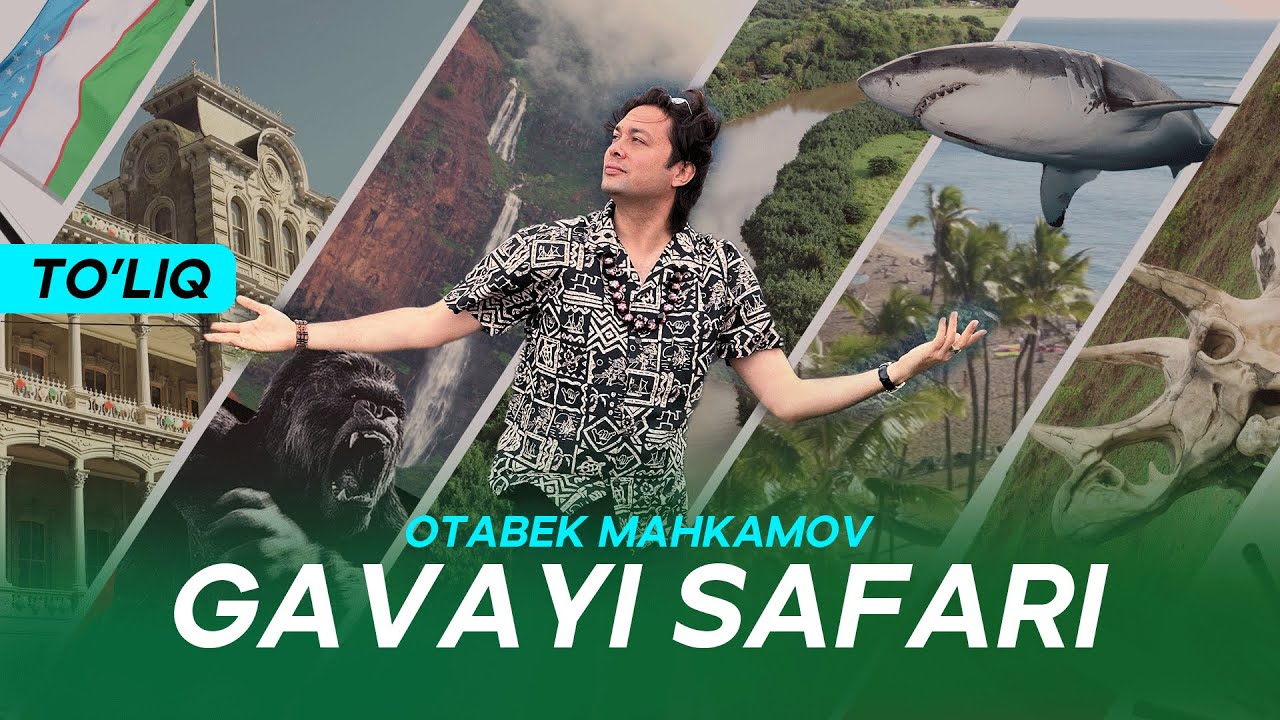 Mr.Otabekning Gavayiga Safari: Hayratlanarli Tabiat, Akulalar, Tomsiz Aholi, Tarixiy Urush, Jungli.