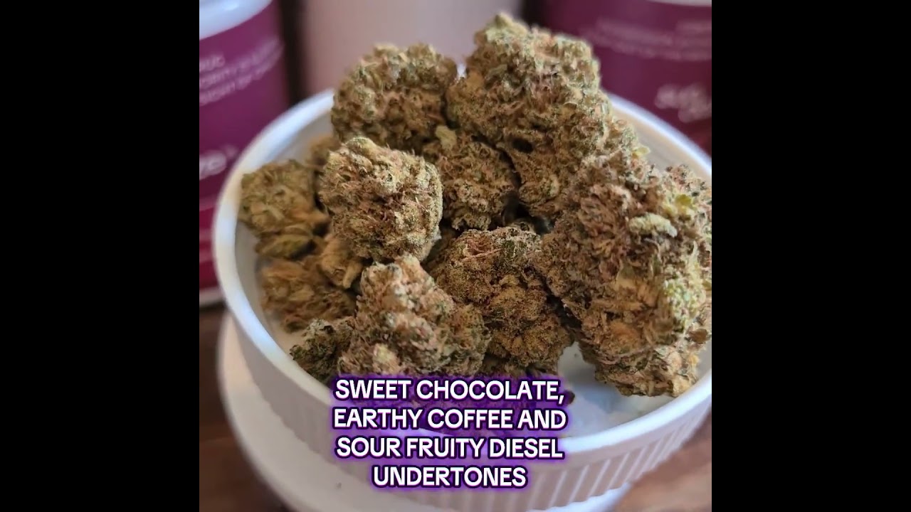 Atlantic Glue - Therismos ATG Medical Cannabis Strains UK #Montu #alternaleaf #curaleaf