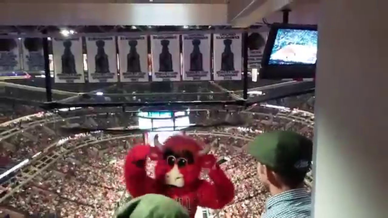 Chicago bulls Benny The Bull