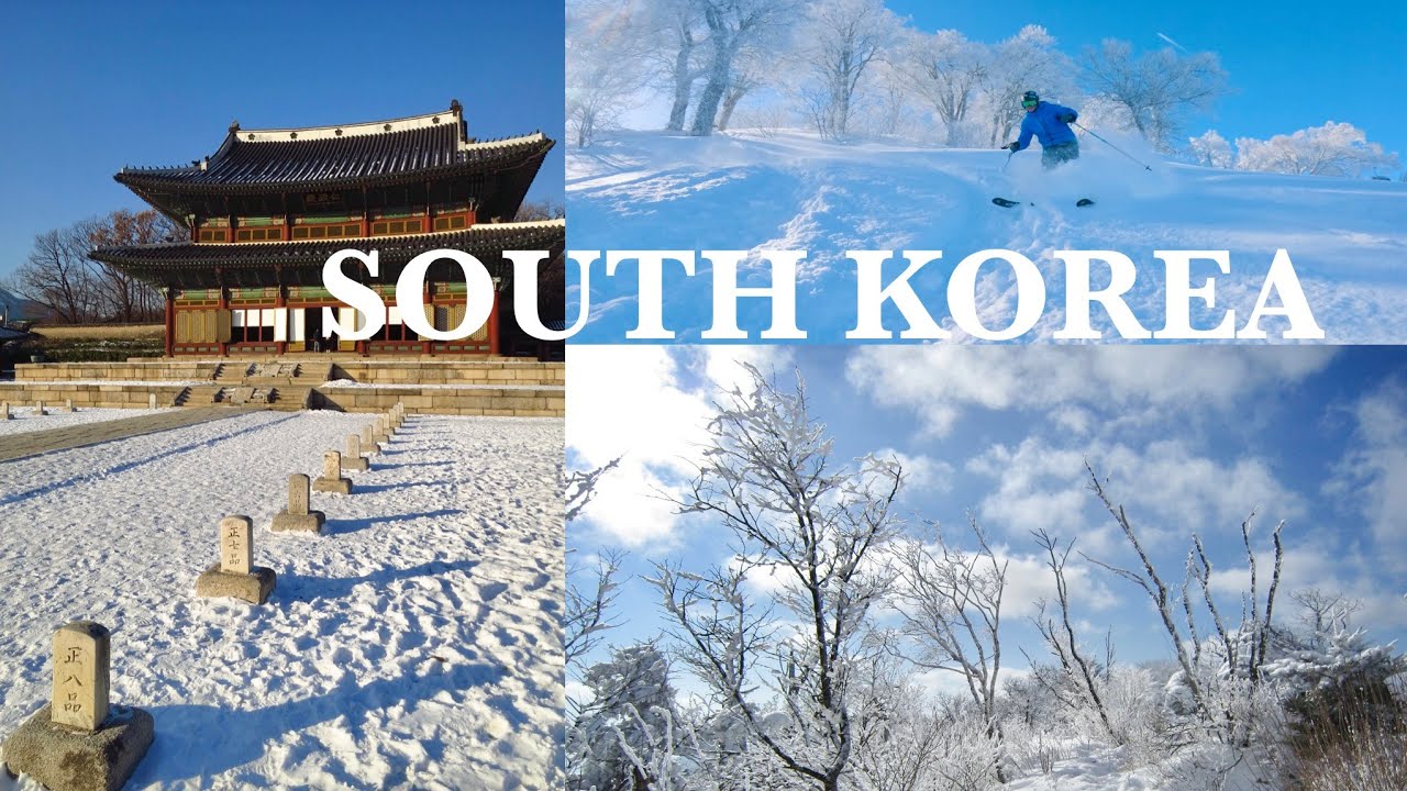 South Korea Travel Vlog | South Korea Beautiful Places | South Korea Vlog | South Korea Video | Tour