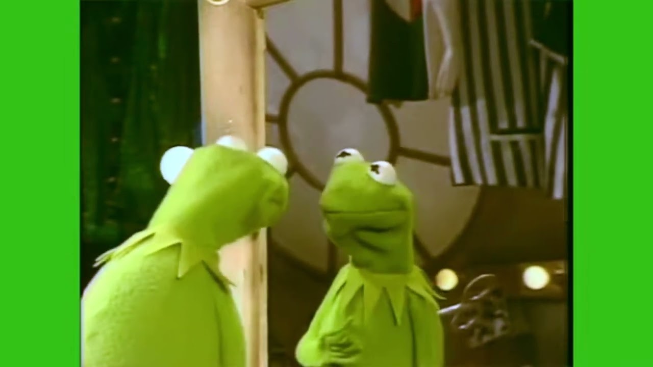 Kermit vs fake  Kermit