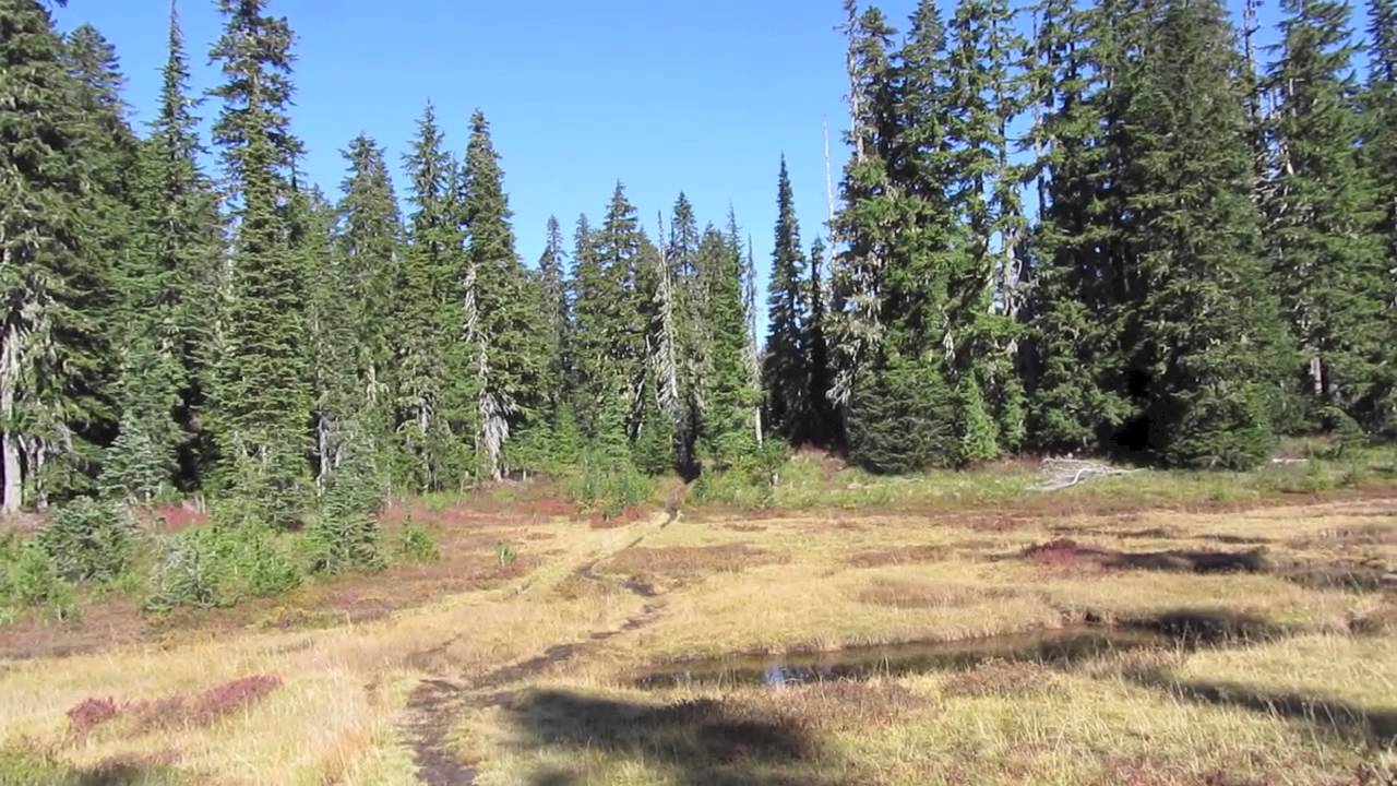 Land of Many Lakes--- Indian Heaven Wilderness